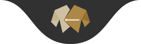 فاطمه قربانی کالکشن